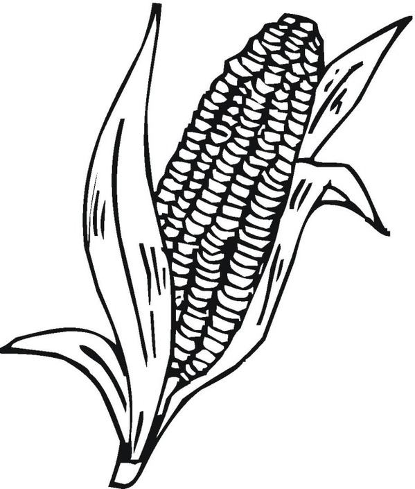 Shabbat Coloring Pages Clipart - Free to use Clip Art Resource