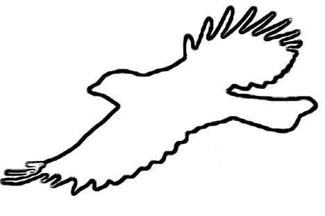 Bird Outline | Free Download Clip Art | Free Clip Art | on Clipart ...