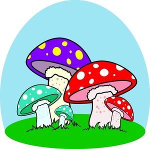 Cartoon Mushroom | Avatar Full ...