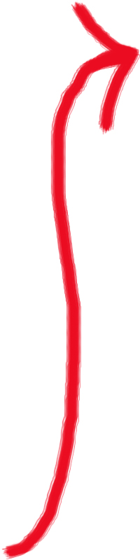 Long Arrows - ClipArt Best