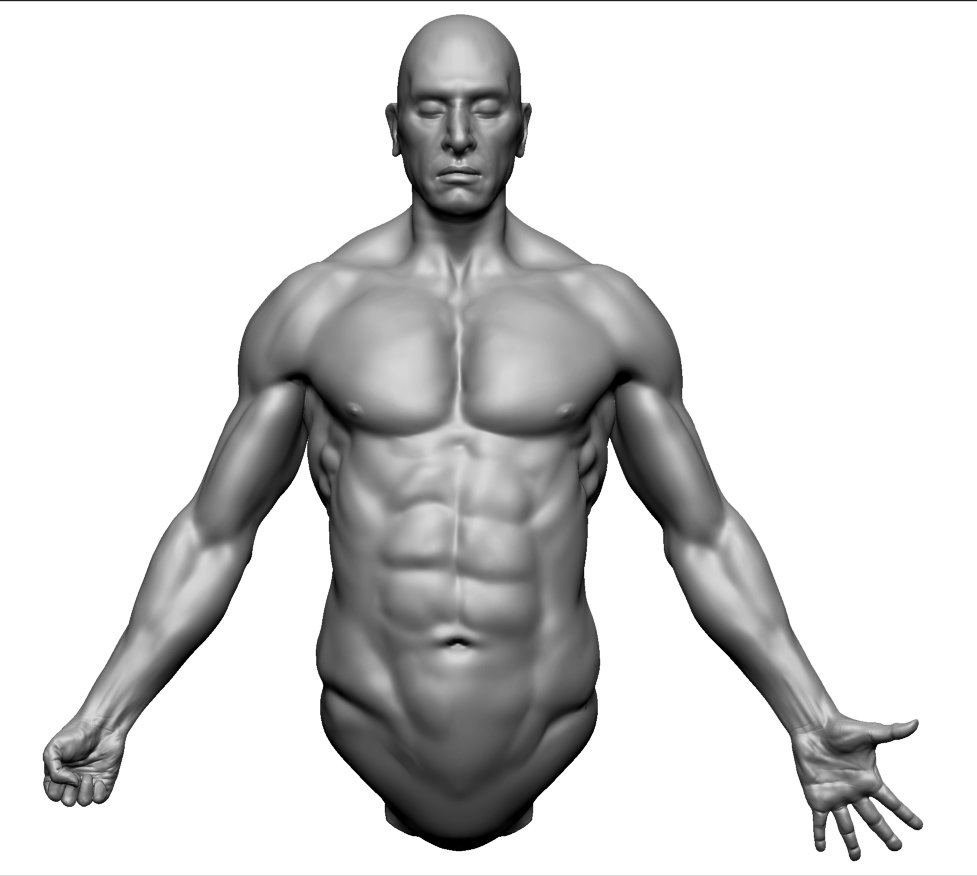 1000+ images about References : Anatomy | Head shapes ...