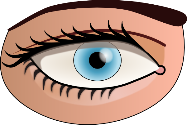 Human Eye Clipart