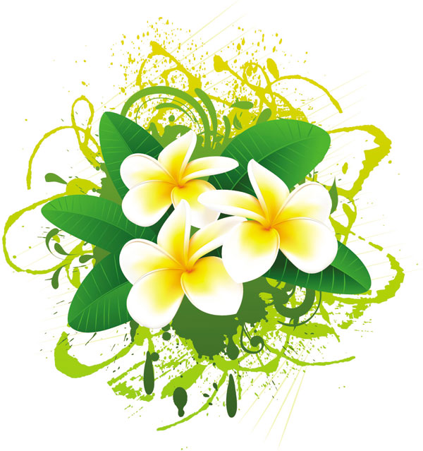 flowers bloom free vector 01 - Vector Flower free download