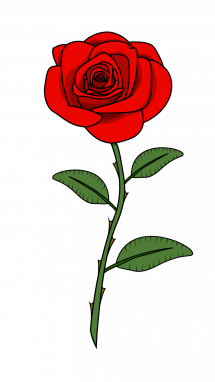 How to Draw Red Rose, Flowers, Plants, Easy Step-by-Step Drawing ...