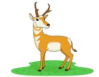 Free Antelope Clipart - Clip Art Pictures - Graphics - Illustrations