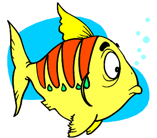 Rocketeer BOnus Question--Welcome to Fish World---You are a fish ...