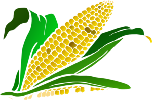 corngradient-md.png