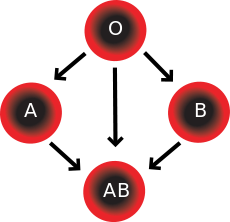 Blood type