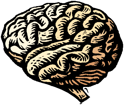Brain-clipart | Peg's Place