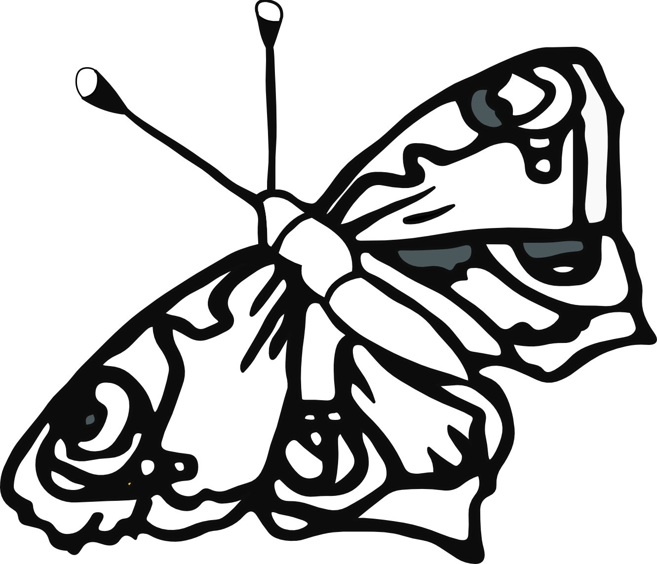 butterfly 58 black white line art tatoo tattoo SVG