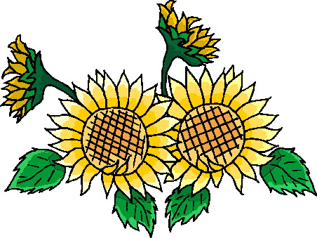 Sunflower Clip Art