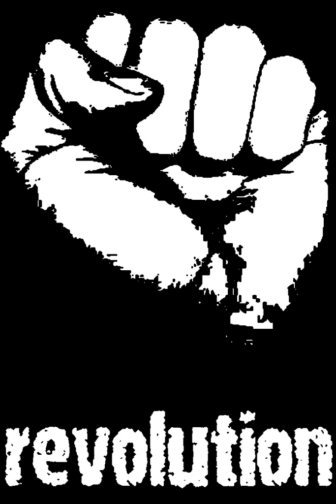 Is Revolution The Only Choice For America? | Dirt & Seeds