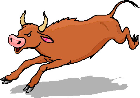 clipart bull