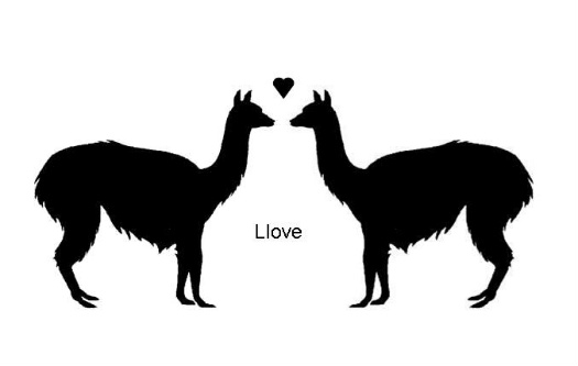 Cartoon llama clipart image #20434