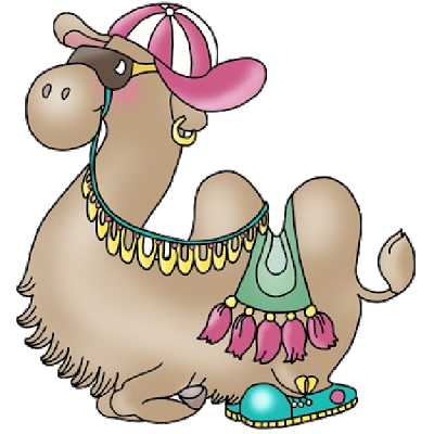 Funny Camel Pictures