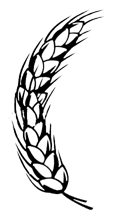 Drawing Wheat Plant - ClipArt Best