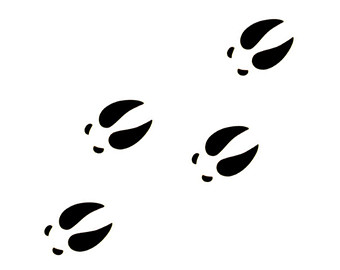 Moose Tracks Clipart