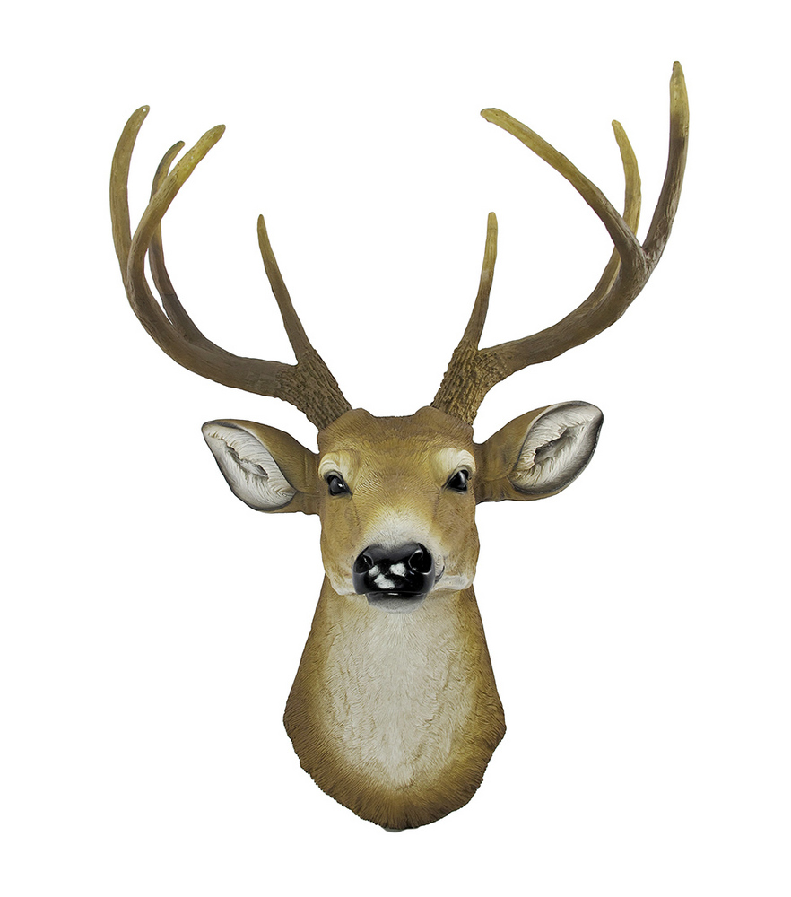Buck Head - ClipArt Best