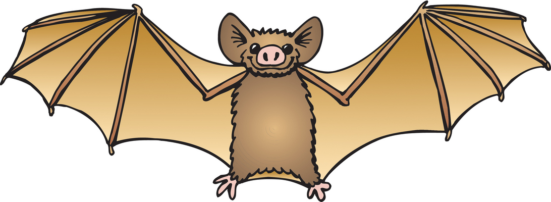 Bats clip art 2 new hd template images 3 image #7852