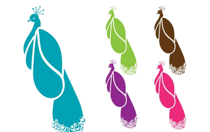 peacock Vector Free Download