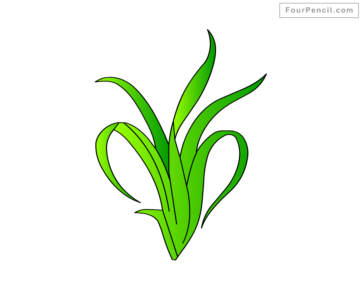 seaweed drawing Gallery