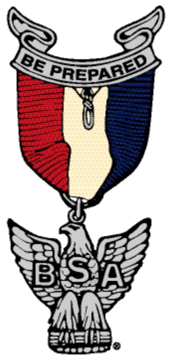 2014 Eagle Scout Honor Page