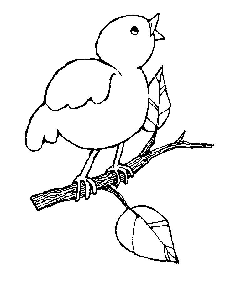 Bird Singing | Mormon Share