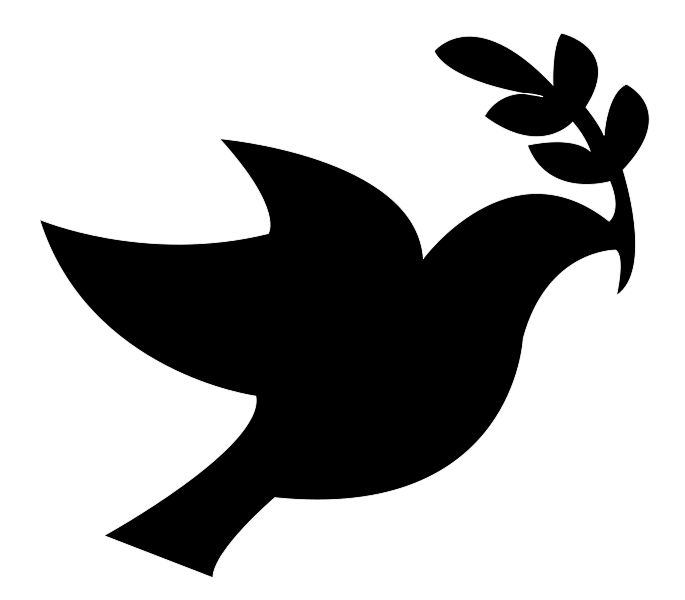 Black Doves