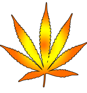 Pot Leaf Cartoon Drawing