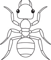 Search Results for insect Pictures - Graphics - Illustrations ...
