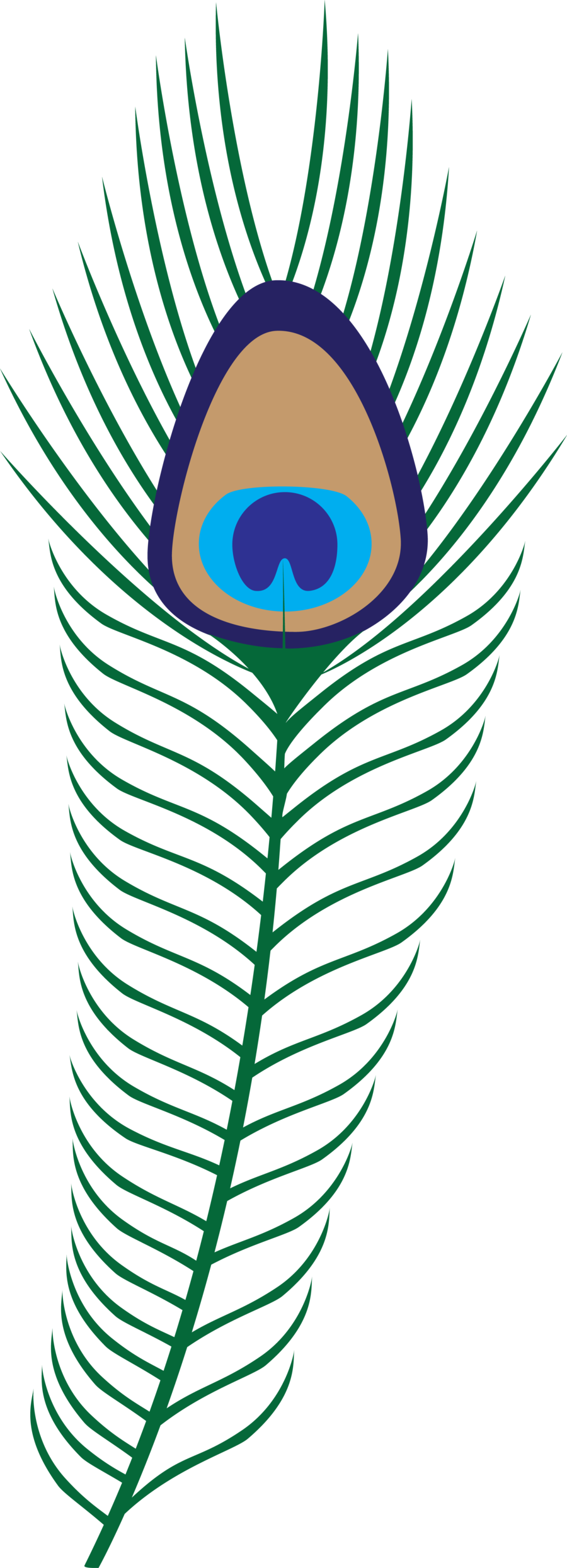 Peacock Feather Clip Art