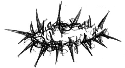 Crown Of Thorns Clip Art - ClipArt Best