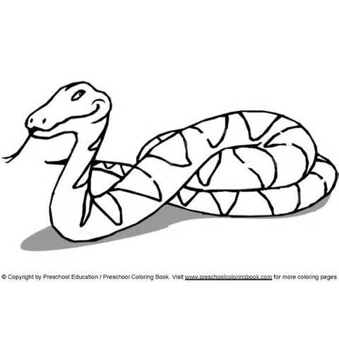 Anaconda Snake Coloring Pages. free coloring pages b in addition ...