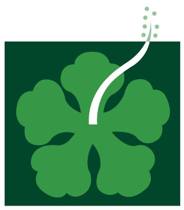 PMHA - Prime Minister's Hibiscus Award