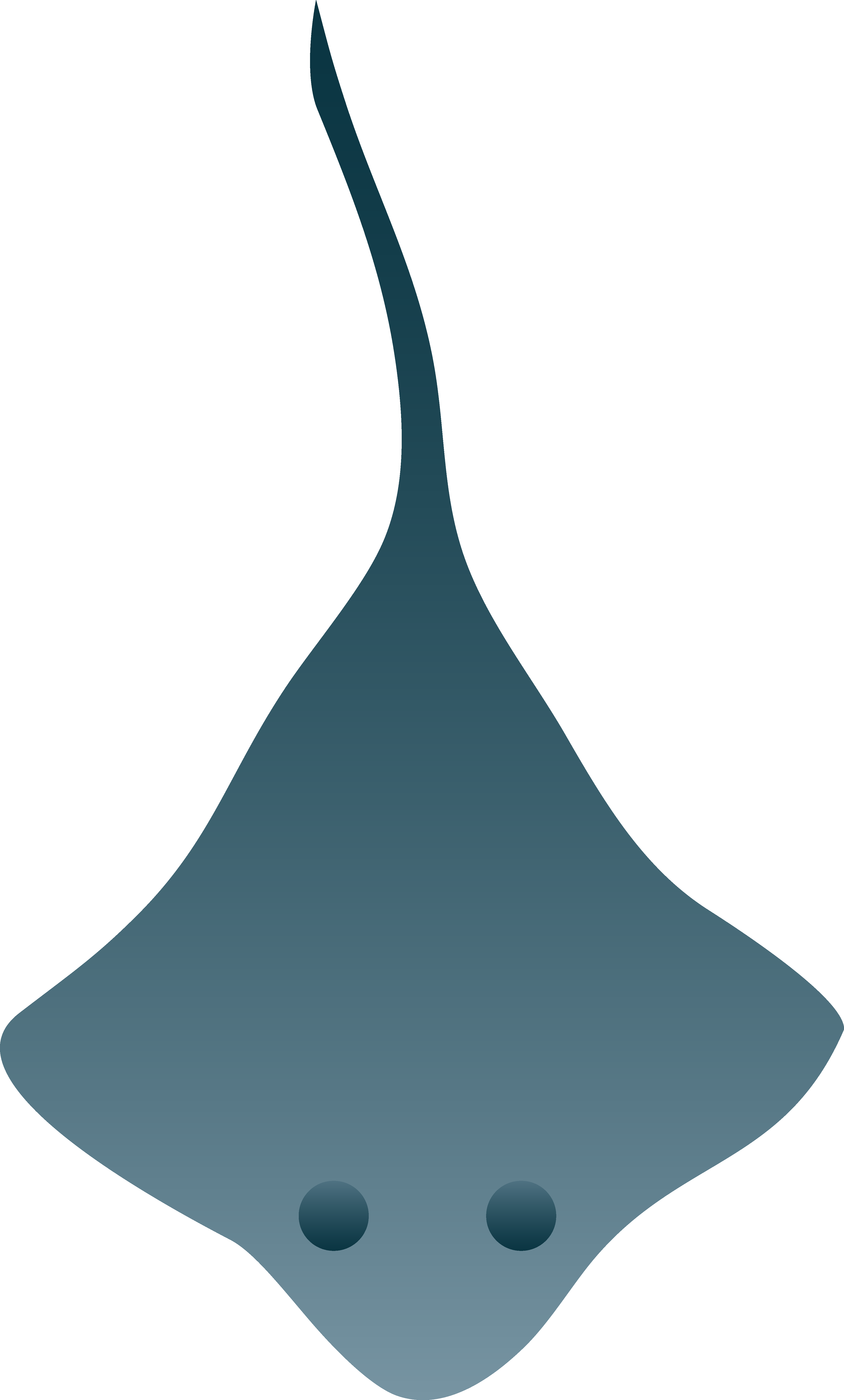 Stingray Clipart | Free Download Clip Art | Free Clip Art | on ...