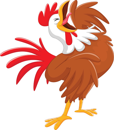 Cartoon Of Roosters Crowing Clip Art, Vector Images ...