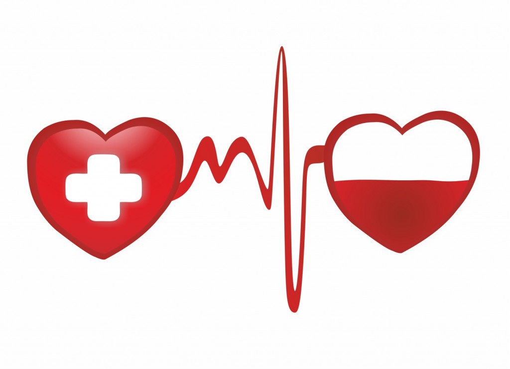 American Red Cross Youth