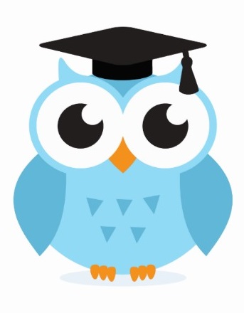 Wise Owl Mascot