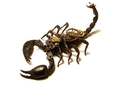 1000+ images about bug art | Macro photo, Behance and ...