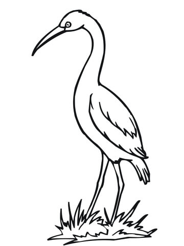 Stork Bird coloring page | Free Printable Coloring Pages