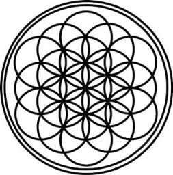 Metatron's Cube