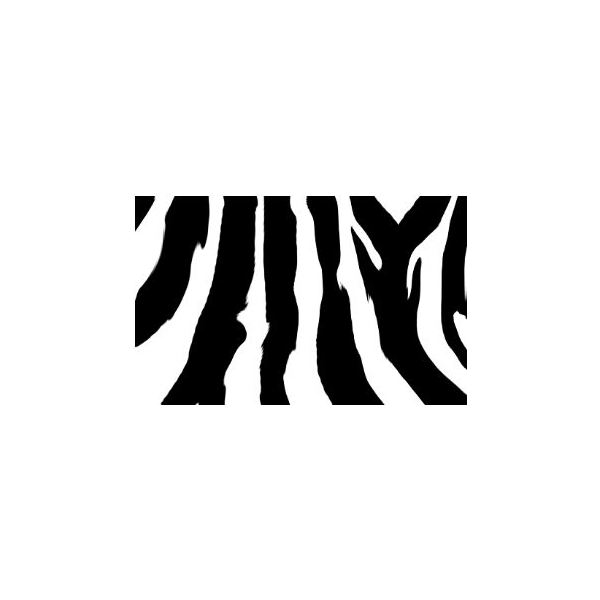 Free Zebra Print Backgrounds for Your Graphic Design Projects