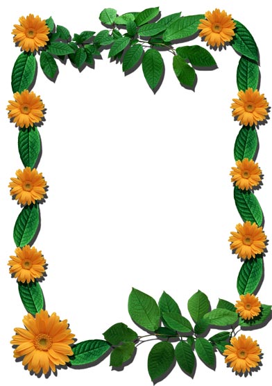 Png flower frames for photoshop