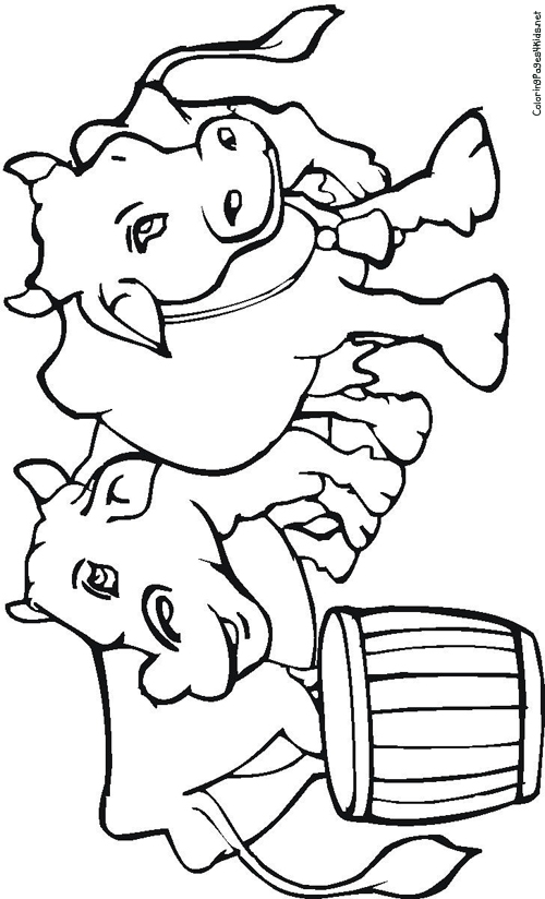 Cows Coloring Pages | Coloring Pages For Kids - ClipArt Best - ClipArt Best