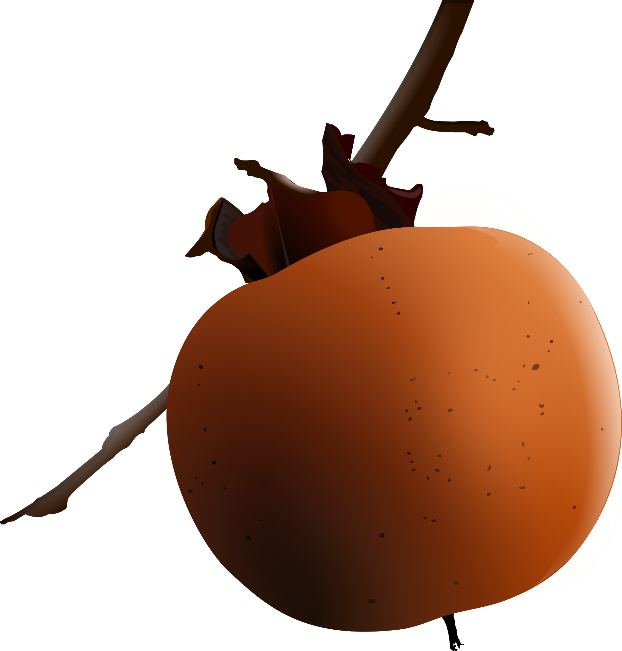 Clip Art: Ripe Persimmon Scalable Vector ...