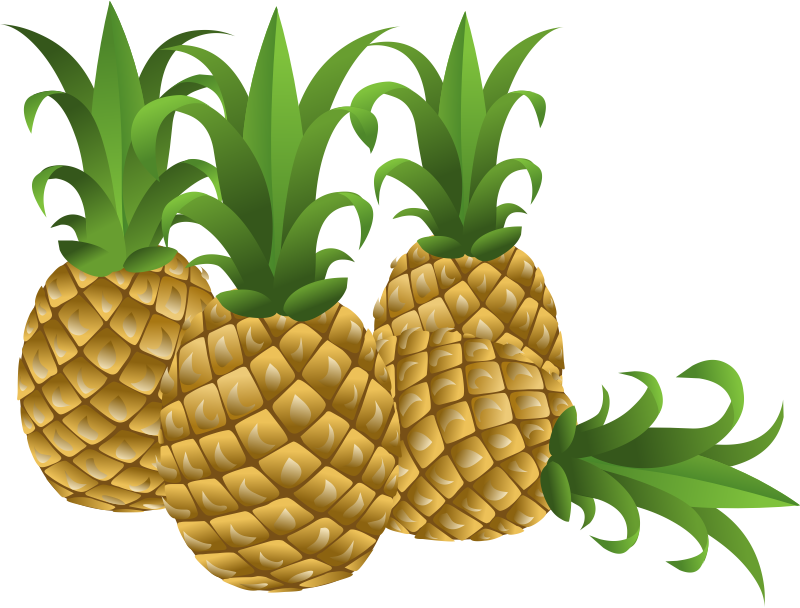 Clipart Pineapple - Tumundografico