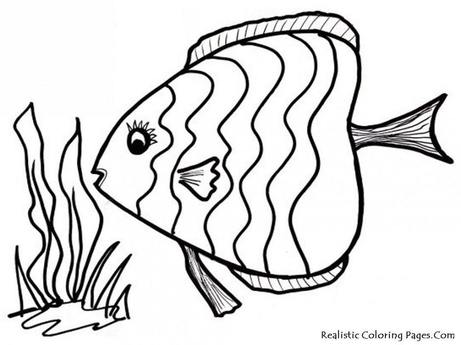 Rainbow Fish Outline | Free Download Clip Art | Free Clip Art | on ...