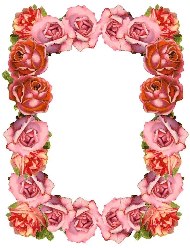 1000+ images about Floral Borders