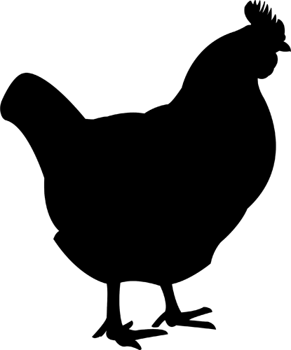 Black chicken clipart