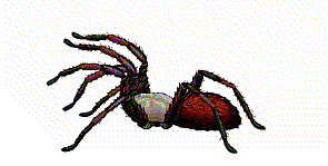 Animasi dan Humorisasi (Animated Gif) & Angkola Gif: Macam Animasi ...
